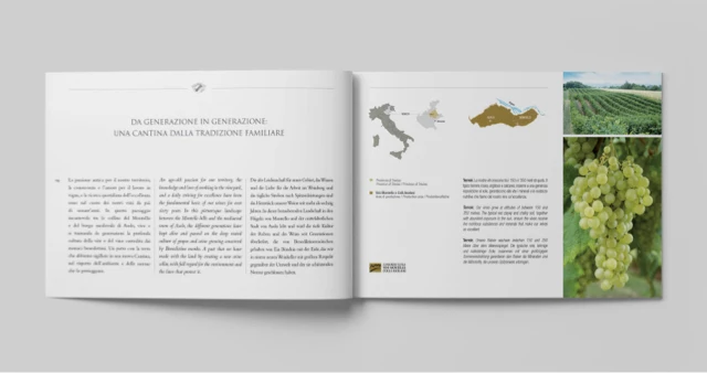 Brochure istituzionale